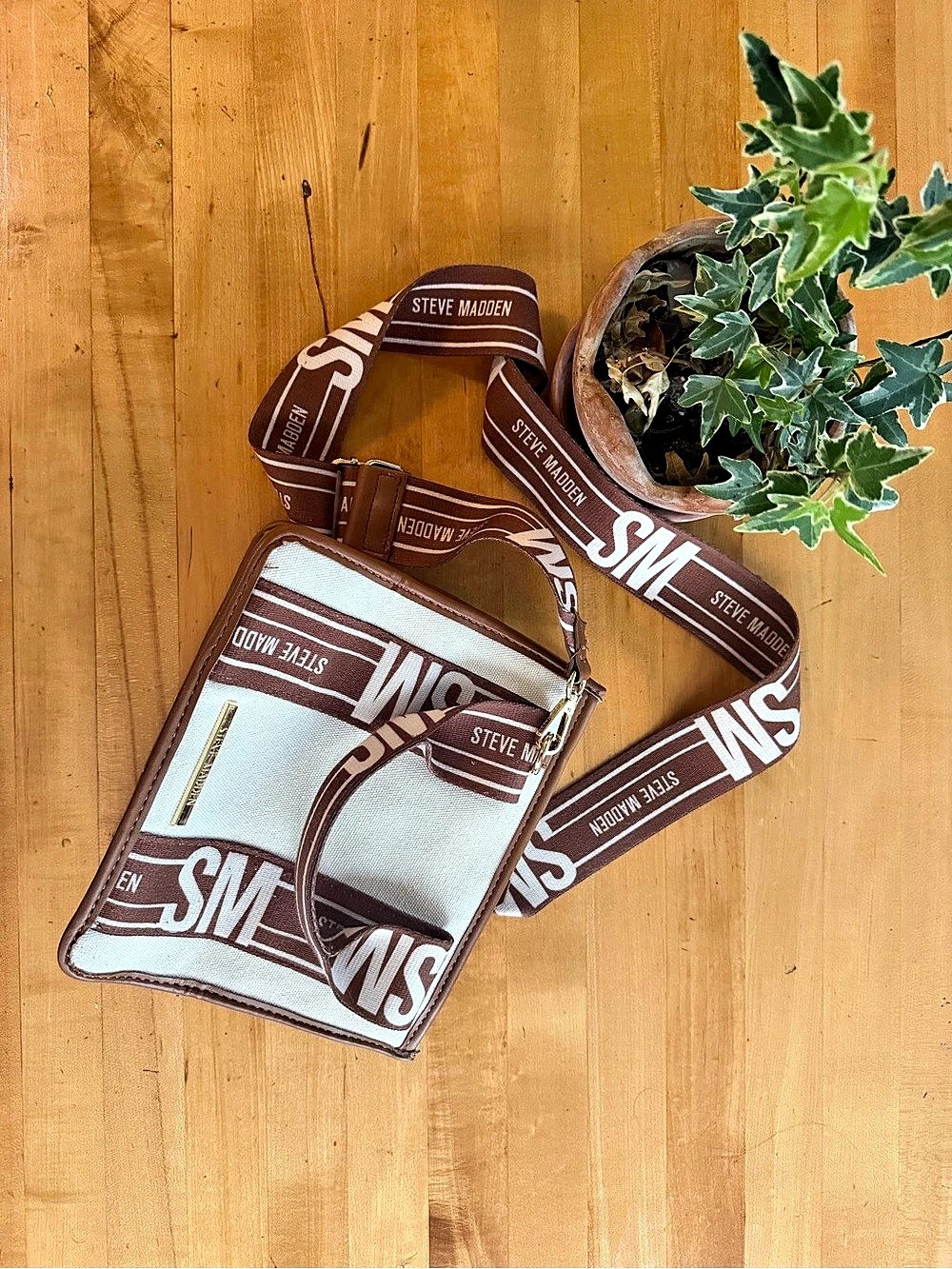 Steve Madden Bwebber Color Block Crossbody Brown & White